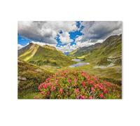 Jigsaw Puzzle 1000 Pièces，Ivresse Alpine juteuse Contre l'arrière-Plan des Deux Lacs，Adultes Enfants Assemblage De Puzzles Jeux De Jouets Éducatifs（50x70cm）-AA34