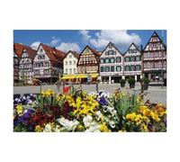 Jigsaw Puzzle, 1000 Pièces Puzzles pour Adultes Puzzles，Place du marché à Bad Urach，Puzzle Éducatif Jouet pour Enfant（50x70cm）-AJ72