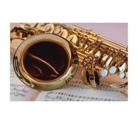 Jigsaw Puzzle 1000 Pièces，Saxophone - Beau et Sensuel，Adultes Enfants Assemblage De Puzzles Jeux De Jouets Éducatifs（50x70cm）-AG27