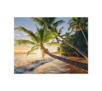 Jigsaw Puzzle 1000 Pièces，Secret de la Plage，Jeu Décontracté Amusant Cadeau Jouets pour Amis Et Famille（75x50cm）-B25