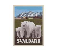 Jigsaw Puzzle 1000 Pièces,Svalbard, Affiche,3D Adultes Papier Jouets Éducatifs Meilleur Cadeau d'anniversaire Garçons Filles(38x26cm)-BL55