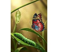 Jigsaw Puzzle 300 Pieces Caterpillar, Premium Jigsaws 300 Pieces for Adults & Teens, Precision Fit Thick Board, Ideal Gift for for Men & Women, Finished Size 40x28cm Butterfly