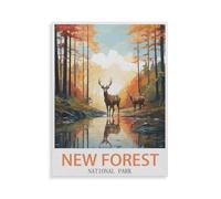 Jigsaw Puzzle，New Forest National Park，1000 Pièces Puzzle Drôle en Papier pour Adultes 1000 Pièces, Est pour Les Amis Et La Famille（38x26cm）-HE40