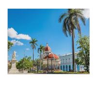 Jigsaw Puzzle，Parc Central José Marti à Cienfuegos avec Palmiers, Cienfuegos, Cuba，1000 Pièces Puzzle Drôle en Papier pour Adultes 1000 Pièces, Est pour Les Amis Et La Famille（38x26cm）-U83