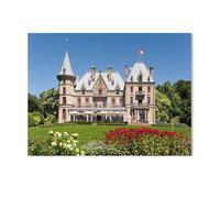 Jigsaw Puzzle Picture，Château Schadau à Thun (Canton de Berne, Suisse)，1000 Pièces Puzzles Ronds - Jeux Éducatifs Jouets Joli Cadeau Assemblage Puzzles pour Adultes（75x50cm）-Z77