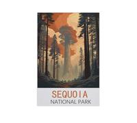 Jigsaw Puzzle Picture，Parc National des Séquoias，1000 Pièces Puzzles Ronds - Jeux Éducatifs Jouets Joli Cadeau Assemblage Puzzles pour Adultes（38x26cm）-AK25