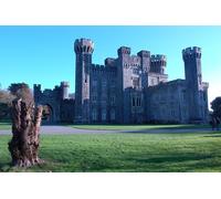 Jigsaw Puzzles 1500 Pieces for Adults Puzzle Educational Games Home Decoration Puzzle Castles United Kingdom (57x87cm)