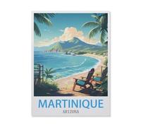 Jigsaw Puzzles for Adults 1000 Piece，Martinique Arizona，Classic Puzzle Teens Boys Girls Puzzles for DIY Intellective Educational Game, Gift Home Decor（50x70cm）-FH50