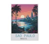 Jigsaw Puzzles for Adults 1000 Piece，Sao Paulo Brazil，Classic Puzzle Teens Boys Girls Puzzles for DIY Intellective Educational Game, Gift Home Decor（50x70cm）-FM11