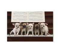 Jigsaw Puzzles,Un Groupe de Chihuahuas Au Piano,Adultes Carton Puzzle Image, Les Étudiants du Collège Soulagent Le Stress Jigsaws Jouets Jeu 1000 Pièces(38x26cm)-C64