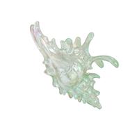 jiingekk Pince à cheveux conque en acrylique pour une utilisation à long terme, épingle à cheveux portable pour femmes actives, pince à cheveux en forme de conque en acrylique, taille unique, Comme