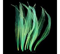 jiingekk Plante artificielle en silicone souple pour aquarium avec flux d'eau - 17,8 cm de haut - Algues réalistes - Décoration réaliste pour aquarium