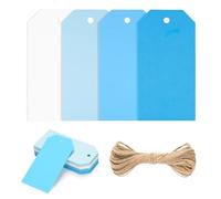 jijAcraft Étiquettes cadeaux en papier bleu vierges : 5 x 10 cm étiquettes en papier kraft 60 pièces étiquettes en papier à écrire étiquettes cadeaux étiquettes avec trou et ficelle pour cadeau de