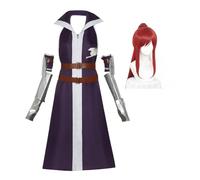 Jilijia Costume de manga Erza Scarlet - Tenue de costumade gris - Ensemble complet avec perruque - Déguisement d'Halloween pour jeu de rôle pour homme et femme