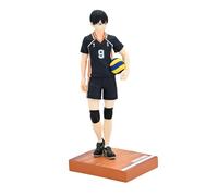 Jilijia Haikyu Figurine Hinata Shoyo Tobio Kageyama - Joueur de volley-ball - Figurine d'action de dessin animé à collectionner - Décoration de bureau