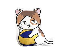 Jilijia Haikyuu Coussin en peluche Shoyo Hinata Tobio Kageyamab Kenma Kozume Kei Tsukishima pour les fans d'anime, cadeaux pour enfants