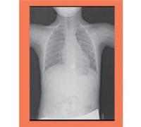 Jill Magid Tender by Karsten Lund Karsten Lund (Auteur)