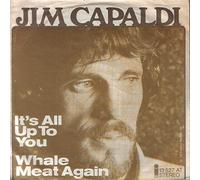 Jim Capaldi - It's All Up To You - Island Records - 13 527 AT