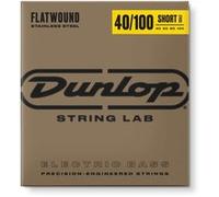 DBFS40100S Stainless Steel Filets Plats Short Scale 40-100