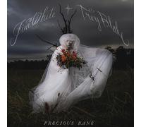 Jim White and Trey Blake – Jim White and Trey Blake-Precious Bane