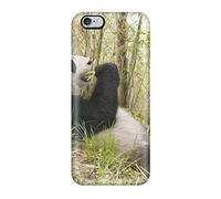 Swallowtail (Indie Exclusive, jaune translucide)