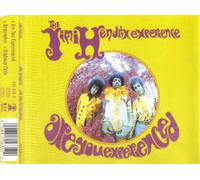JIMI HENDRIX EXPERIENCE-ARE YOU EXPERIENCED
