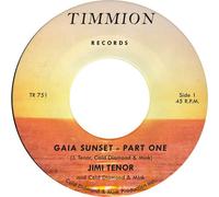 Jimi Tenor & Cold Diamond & Mink - Gaia Sunset [7-Inch Single]