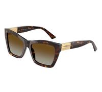 Jimmy Choo Femme JC5031 5002T5 Lunettes de soleil Acétate Tortue Marron Cat Eye Polarisé