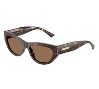 Jimmy Choo Femme JC5034BU 500273 Lunettes de soleil Acétate Tortue Marron Cat Eye Normale