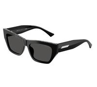 Jimmy Choo Femme JC5035B 500087 Lunettes de soleil Acétate Noir Gris Cat Eye Normale