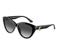 Jimmy Choo Femme Jimmy Choo JC5007 50008G Lunettes de soleil Acétate Noir Gris Pantos Normale Ombré
