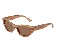 Jimmy Choo Femme Jimmy Choo JC5022B 505573 Lunettes de soleil Acétate Marron Marron Cat Eye Normale
