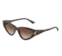 Jimmy Choo JC5019 500213 Lunettes de soleil Marron Ombré