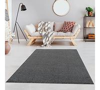 Jimri Fashion4Home Tapis de Salon uni - Tapis uni pour Chambre d'enfant, Chambre à Coucher, Bureau, Couloir et Cuisine - Tapis à Poils Courts Gris, Taille : 120 x 170 cm