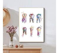 Jin Yi Global Impression de dents affiche molaire dentaire aquarelle toile peinture dents Art affiches dentiste mur photo médecin bureau décor 40x60 cm sans cadre