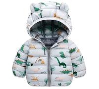 JinBei Manteau Hiver pour Bébé Garçon, Blousons à Capuche Enfants Dinosaure Doudoune Léger Veste, Oreilles 3D Manche Longues Rembourrée Fermeture éclair Gris Veste D'hiver âge 2-3 Ans