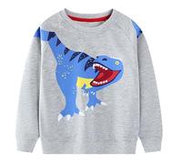 JinBei Sweatshirts Bébé Garçon Pulls Enfant Coton Casual Manches Longues T-Shirts Sport Sweat Col Rond Tops Cartoon Animal Imprimé Ecole Automne Hiver Printemps Vetements Gris, 6-7 Ans