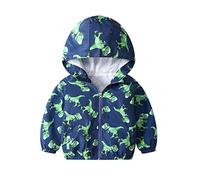 JinBei Veste Garçon Manteau Capuche Enfant Sweat-Shirt Dinosaure Blouson Zipper Poche Pull-Over Longue Manche Vert Mince Manteaux Mignon Outwear Printemps Automne Coupe-Vent 3-4 Ans