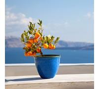 Jinfa 1 Pot de Fleurs en Plastique Effet céramique émaillée | Bleu Marine | Santorini Design | Ø 39,5 cm x 33,5 cm