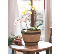 Jinfa Cache-Pot en Plastique Imitation Bois - Design Tonneau - Ø38 cm - Léger, Résistant Gel & UV, Décoration Jardin & Balcon - Couleur Noyer