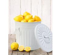 Jinfa Poubelle en métal conteneur poubelle exterieur avec poignées et couvercle | Blanc | Diamètre Ø 42 cm - Hauteur 47,5 cm | Capacité: 62 litres