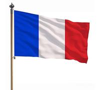 JINGAN Drapeau français, Drapeau de la France à Double Couture, Drapeaux de Pays en Polyester, Rayures Cousues et œillets en Laiton résistants