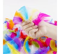 JINGIHE Lot de 500 plumes colorées - Mélange de 5 à 8 cm - Plumes d'oie naturelles douces pour le bricolage, la décoration de fête et le bricolage d'enfants (couleurs mélangées, non toxiques)