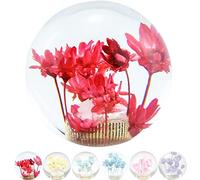 JINGLING Fleur sous-marine Pommeau de levier de vitesse Fleur dans la bulle d'eau AT MT Universal Transparent Ball Shifter Lever Head Pièces de voiture avec 3 types d'adaptateurs (Rouge)