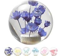 JINGLING Fleur sous-marine Pommeau de levier de vitesse Fleur dans la bulle d'eau AT MT Universal Transparent Ball Shifter Lever Head Pièces de voiture avec 3 types d'adaptateurs (Violet)