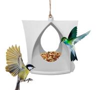 JINGLING Mangeoire pour colibri pour l'extérieur - Style maison de campagne - Mangeoire pour oiseaux avec trous de drainage, grande capacité, style maison de campagne, sécurité contre la neige, pour