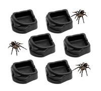 Jingmiger Bols À Nourriture pour Araignées Sauteuses - 6 Pièces Conteneur De Friandises Et Nourriture,Mangeoire d'alimentation pour Araignées | pour Enceinte De Terrarium D'intérieur pour Mygales De