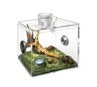 Jingmiger Terrarium araignée | Boîte de culture en acrylique transparent | Boîte d'araignée - Pour une utilisation à la maison, à l'intérieur et aussi dans le salon : escargots, lézards, mantes