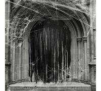 JINGTOPS Rideau Halloween Decoration Tissu Noir,2 Pièces Rideau Porte Entrée 100 * 165cm,Deco Porte Halloween Drap Noir avec Toile D'araignée Et Araignée,Décoration Extérieure Ntérieur Party (Noir)