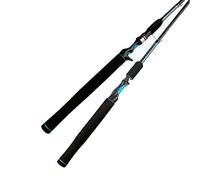 JINGYAN Cannes à pêche Fishing Rod Casting Spinning 2 Section,Mixed with Carbon Fiber M Saltwater Freshwater Baitcasting Rods(Casting 2.13m)